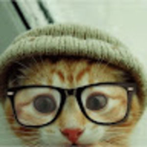 Meet your Posher, Mirey